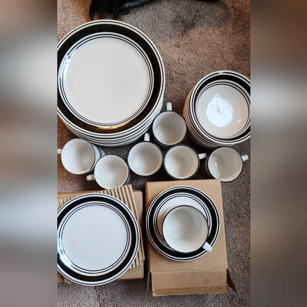 Elegant Black and White Dinnerware Set